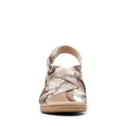 Lafley Alaine -Cheap Shoes Store 26148134 C