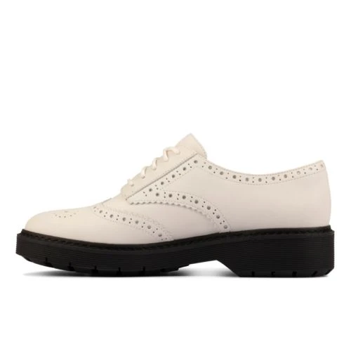 Witcombe Echo 6 Witcombe Echo - Image 4