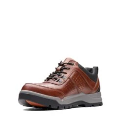 Un Atlas Lo Gtx -Cheap Shoes Store 37908070 D